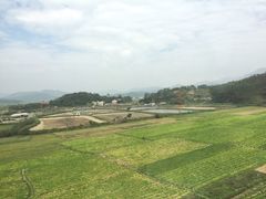 -禾绿寿司·定食·拉面·烧炸(喜荟城店)
