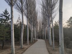 -森林公园(尖草坪区)