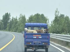 -库伦旗银沙湾旅游景区