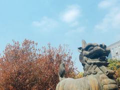 -西南政法大学(渝北校区)