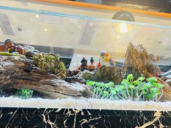 -红辣椒·川菜·火锅(大洋中心店)