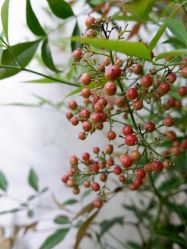 点击看大图 -保丽宝泰母婴护理院·月子中心·产康·中医(常州店)