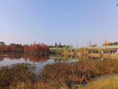 -白鹭湾湿地公园