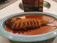 -阿五黄河大鲤鱼(纬三路店)