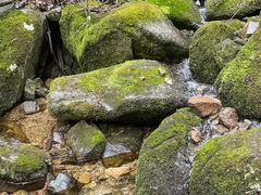 -洛阳白云山景区