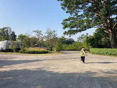 -美的鹭湖森林度假区