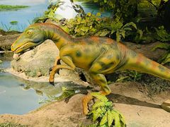 -辽宁古生物博物馆