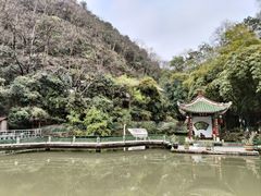 -黔灵山公园