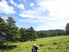 -芦芽山旅游度假区