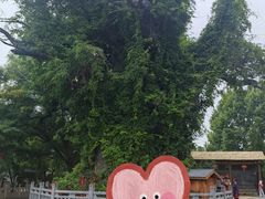 -大槐树寻根祭祖园