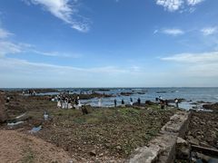 -青岛第二海水浴场