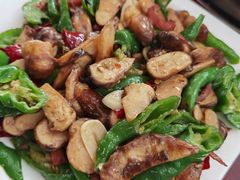 -蘑统田下·野生菌火锅