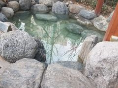 -悦隆庄温泉度假酒店