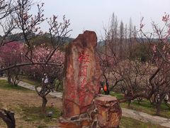 -无锡梅园公园