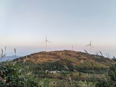 -东白山