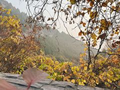 -府君山公园