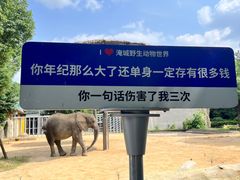 -常州淹城野生动物世界