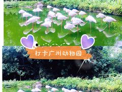 -广州动物园