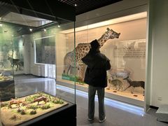 -北京麋鹿生态实验中心