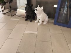 -北京安贞环宇荟
