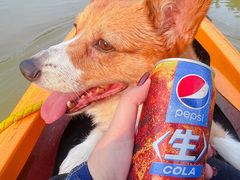 -广州市流溪河国家森林公园