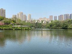 -重庆彩云湖湿地公园