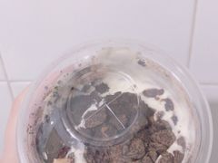 -TPLUS茶家(淮海店)