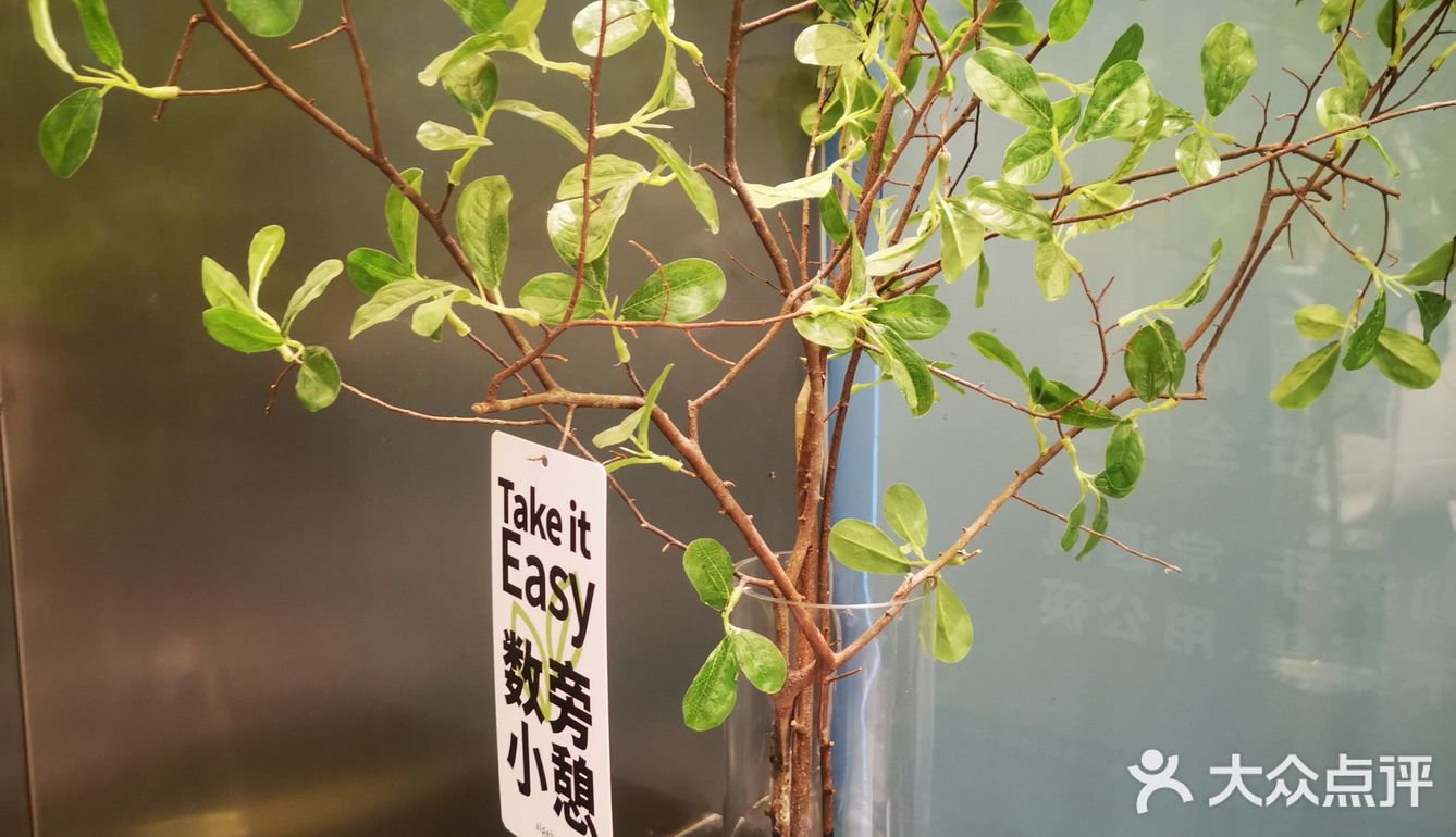 小孩子才做选择，成年人选择都要[胜利]