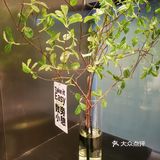 小孩子才做选择，成年人选择都要[胜利]