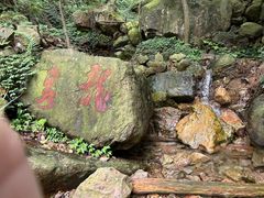 -北仑森林植物园