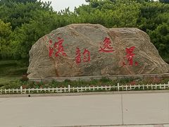 -塘沽森林公园