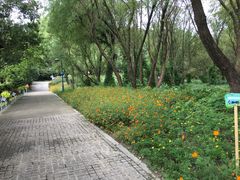 -西湖风景区-江洋畈生态公园