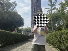 -上海佘山国家森林公园天马山园