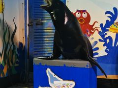 -太平洋海底世界