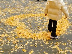 -四川大学(华西校区)