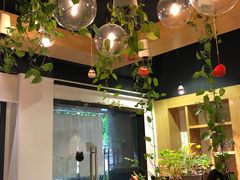 -柴务处·柴犬主题狗咖