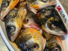 -忘情水鱼头·鲜鱼火锅(滨江中路店)