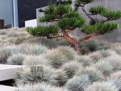 -华东装饰城