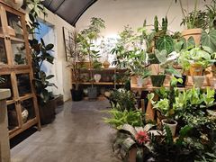 -自由生长植物工作室(深港花卉中心店)