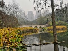 -重庆彩云湖湿地公园