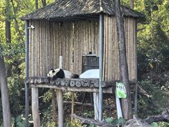 -广州长隆野生动物世界