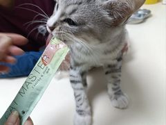 -宠颐生中康贝怡动物医院