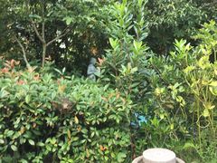 -黄山温泉国际旅游度假区