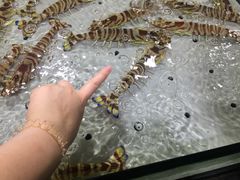 -渔傅·蓝海岸霞浦海鲜(正祥店)