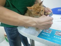 -瑞鹏宠物医院·微创内窥镜·骨外科·牙科(翠竹分院)