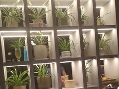 -日出青木·杭帮菜名店