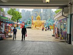 -海合安成都极地海洋公园