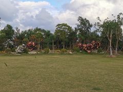 -上海海湾国家森林公园