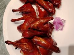 -新雅粤菜馆(南京东路店)