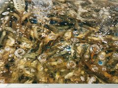 -半岛听涛蒸汽海鲜自助(K11店)